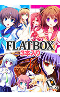 FLATBOX3本入り パッケージ画像